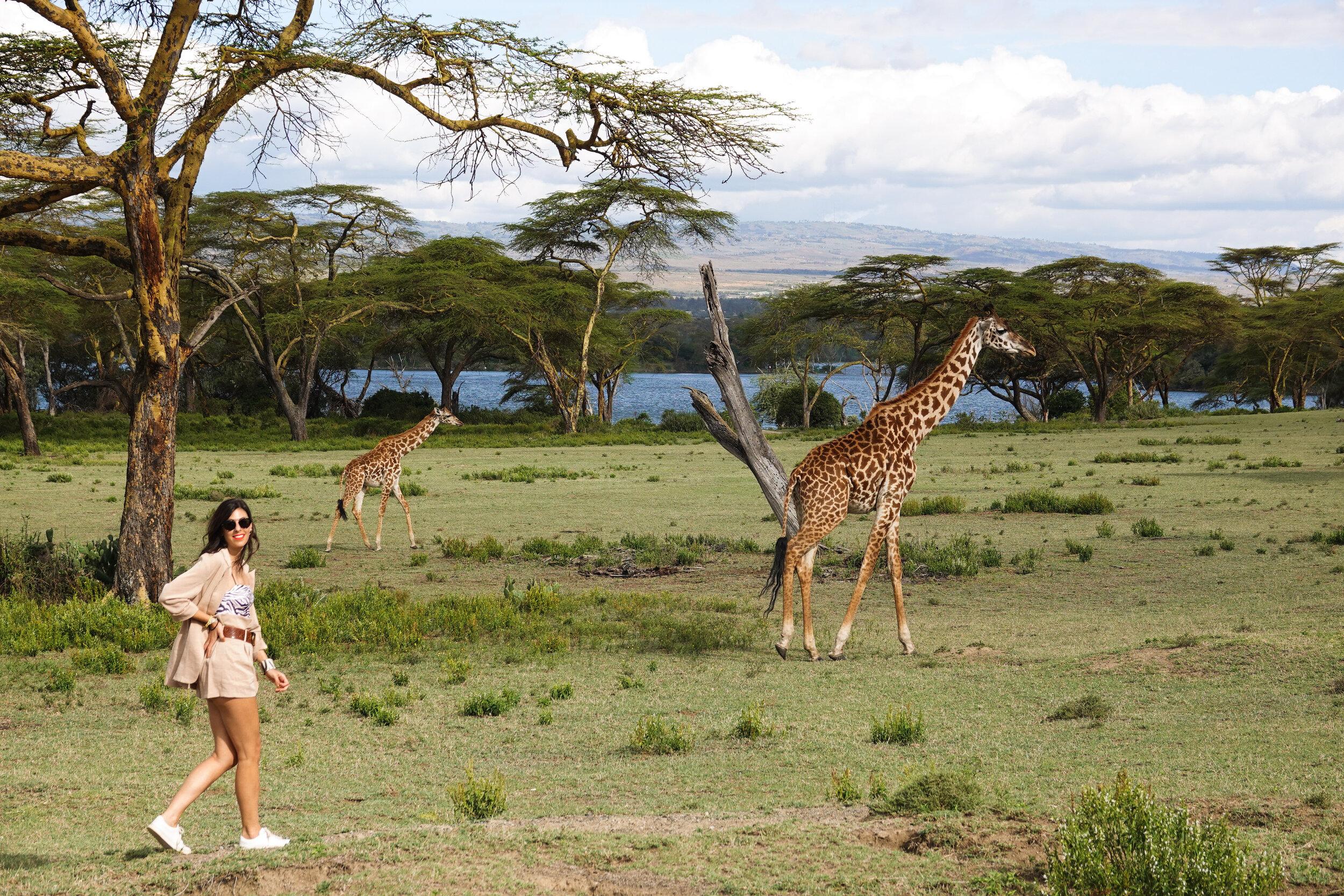 Naivasha