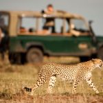 The Ultimate Kenya Safari & Beach Holiday: From Maasai Mara to the Coast