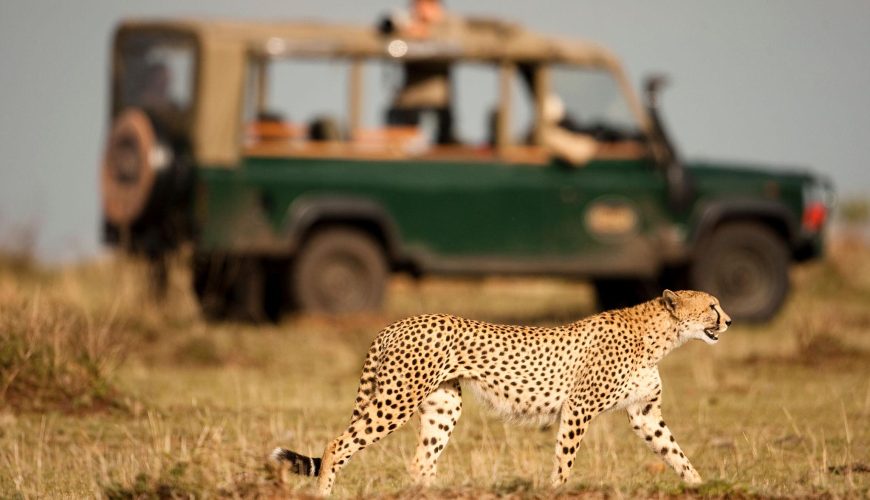 The Ultimate Kenya Safari & Beach Holiday: From Maasai Mara to the Coast