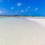Diani vs Watamu vs Malindi: Which Kenyan Coast Destination Is Right for You?