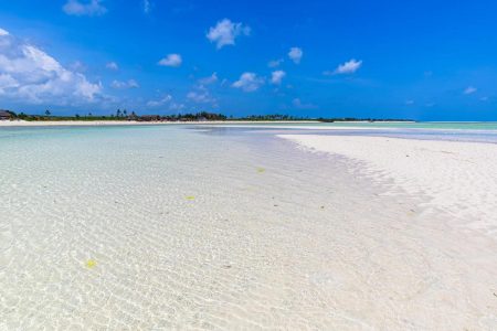 Diani vs Watamu vs Malindi: Which Kenyan Coast Destination Is Right for You?