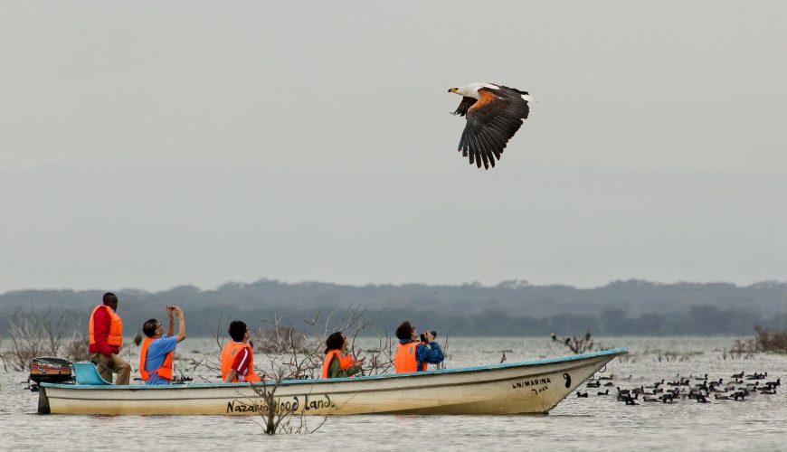 10 Best Kenya Travel Experiences You Should Have at Least Once