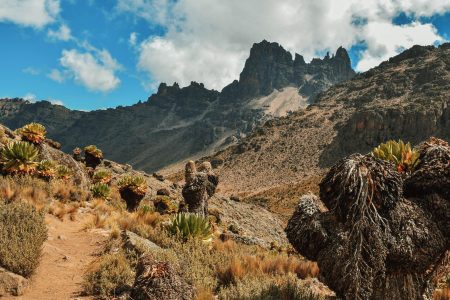 Kenya Travel Guide: 15 Best Places to Visit in Kenya for an Unforgettable Holiday